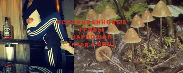 винт Алексеевка