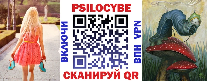 купить наркотик  Челябинск  Псилоцибиновые грибы Cubensis 